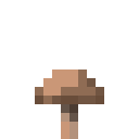 Brauner Pilz