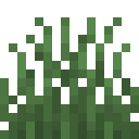 Gras