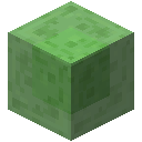 Schleimblock